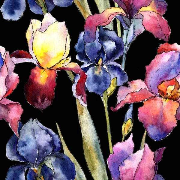 Дика квітка барвистий візерунок квітки ірису в акварельному стилі . — стокове фото