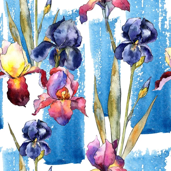 Wildflower colorful iris flower pattern in a watercolor style.