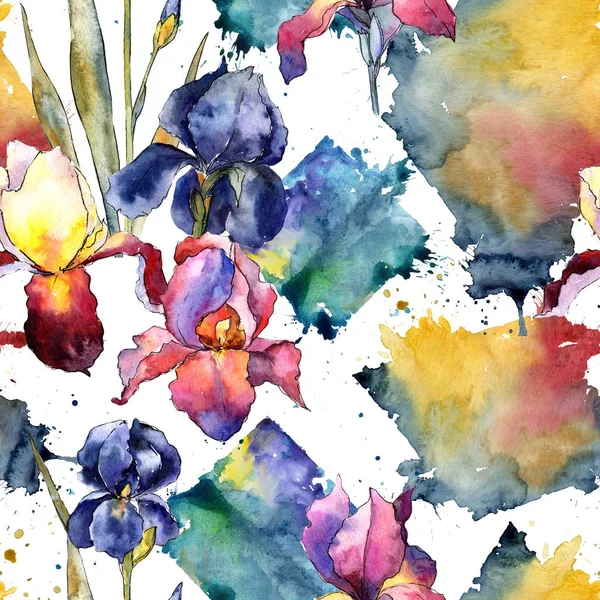 Wildflower colorful iris flower pattern in a watercolor style. — Stock Photo, Image