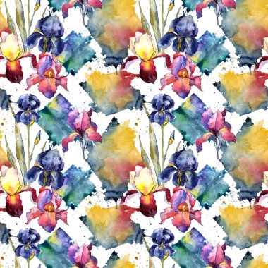 Kır çiçeği renkli iris çiçek deseni suluboya tarzında.