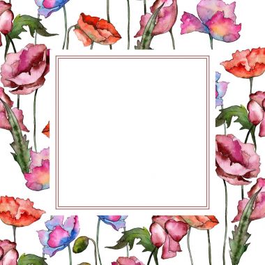 Kır çiçeği haşhaş çiçek çerçeve suluboya tarzında.