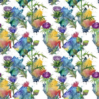 Kır çiçeği thistle çiçek deseni suluboya tarzında.