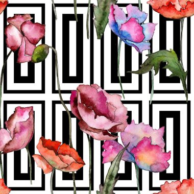 Kır çiçeği haşhaş çiçek deseni suluboya tarzında.