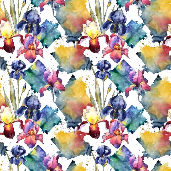 Flor silvestre colorido patrón de flores de iris en un estilo de acuarela . —  Fotos de Stock