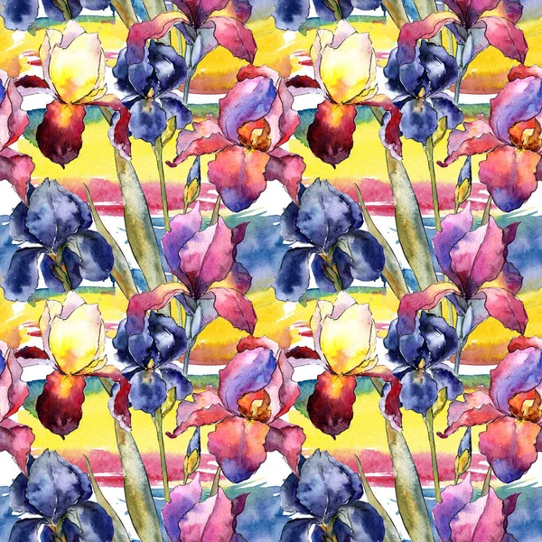 Flor silvestre colorido patrón de flores de iris en un estilo de acuarela . — Foto de Stock