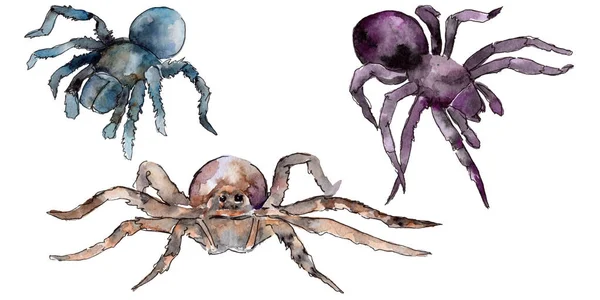 Екзотичні тарантули дикі комахи в акварельному стилі ізольовані . — стокове фото