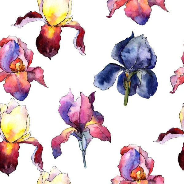 Wildflower kleurrijke iris bloemenpatroon in een aquarel stijl. — Stockfoto
