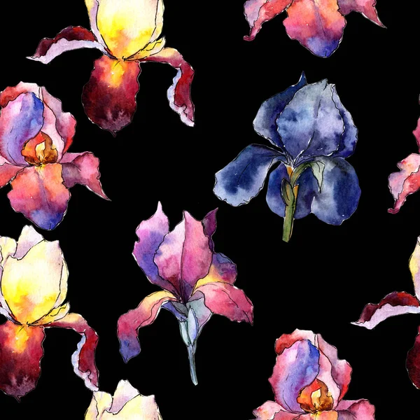 Цветочный узор цветка радужной оболочки в акварели . — стоковое фото