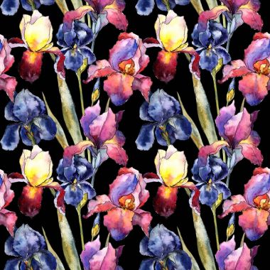 Kır çiçeği renkli iris çiçek deseni suluboya tarzında.