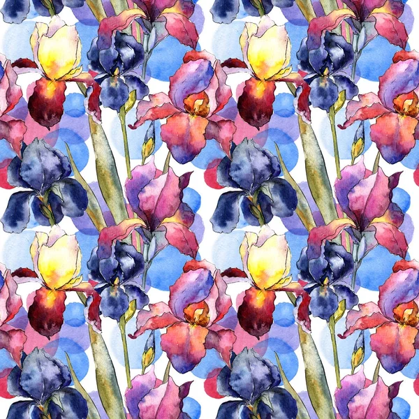 Modèle de fleur d'iris coloré de fleur sauvage dans un style aquarelle . — Photo