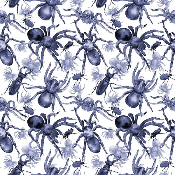 Exotic tarantula wild insect pattern in a watercolor style. — Stock Photo, Image