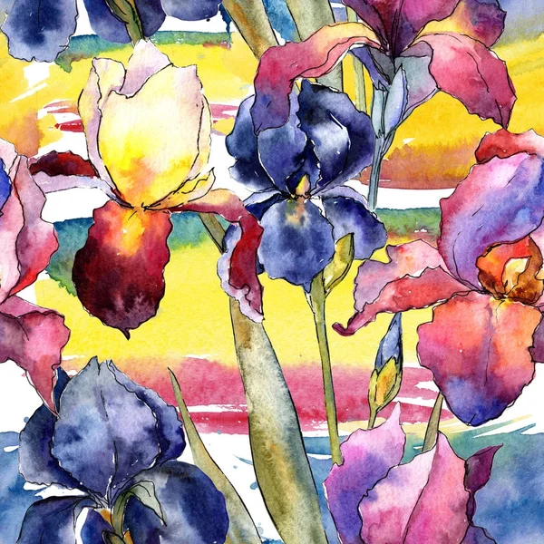 Wildflower barevné iris květinový vzor ve stylu akvarelu. — Stock fotografie