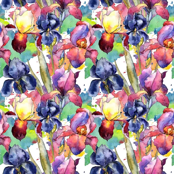 Wildflower colorful iris flower pattern in a watercolor style. — Stock Photo, Image