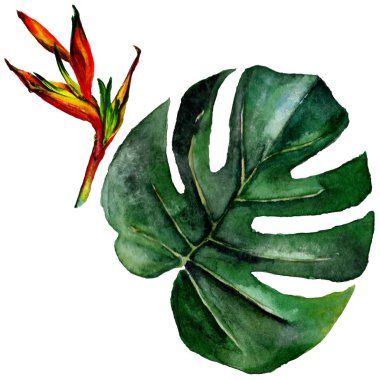 Tropikal Hawaii izole bir suluboya tarzında bırakır.