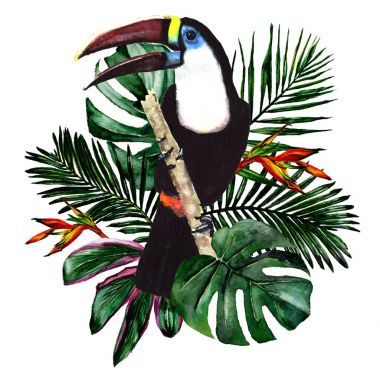 Tropikal Hawaii izole bir suluboya tarzında bırakır.