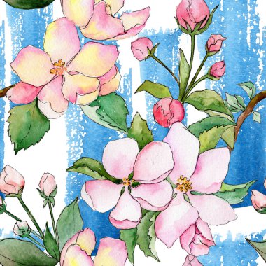 Suluboya tarzında elma çiçek deseninin kır çiçeği.