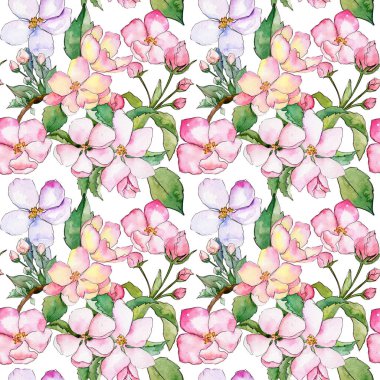 Suluboya tarzında elma çiçek deseninin kır çiçeği.
