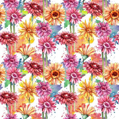 Kır çiçeği gerbera çiçek deseni suluboya tarzında.