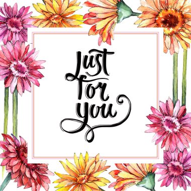 Kır çiçeği gerbera çiçek çerçeve suluboya tarzında.