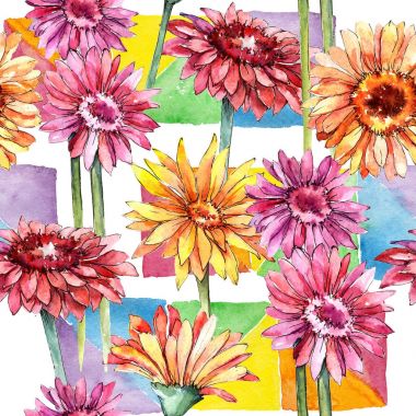 Kır çiçeği gerbera çiçek deseni suluboya tarzında.