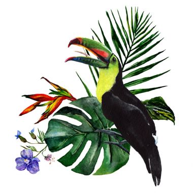 Tropikal Hawaii izole bir suluboya tarzında bırakır.