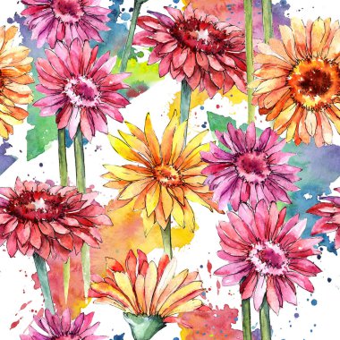 Kır çiçeği gerbera çiçek deseni suluboya tarzında.