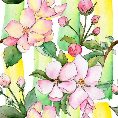 Suluboya tarzında elma çiçek deseninin kır çiçeği.