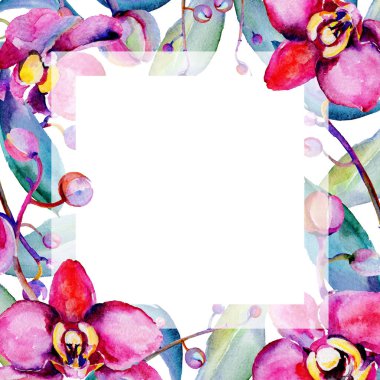 Kır çiçeği orkide çiçek çerçeve suluboya tarzında.