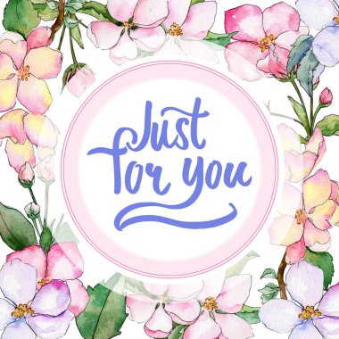 Elma çiçeği çerçevesinin suluboya tarzında bir kır çiçeği.