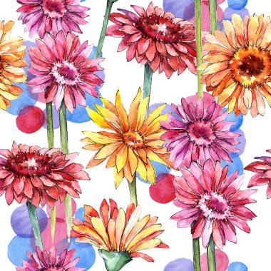 Kır çiçeği gerbera çiçek deseni suluboya tarzında.