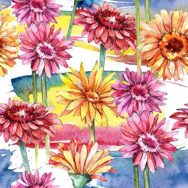 Kır çiçeği gerbera çiçek deseni suluboya tarzında.