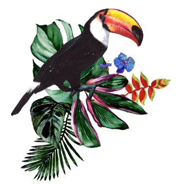 Tropikal Hawaii izole bir suluboya tarzında bırakır.