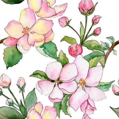 Suluboya tarzında elma çiçek deseninin kır çiçeği.