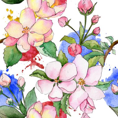 Suluboya tarzında elma çiçek deseninin kır çiçeği.