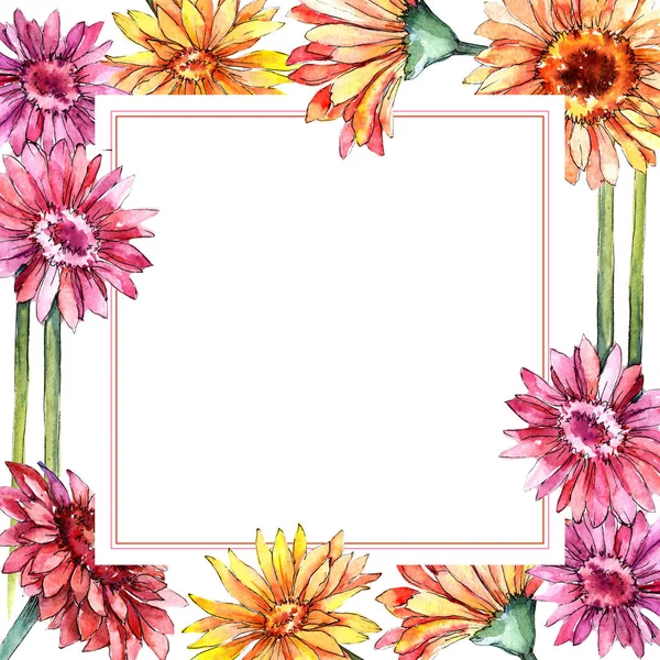 Wildflower gerbera blomma ram i akvarell stil. — Stockfoto
