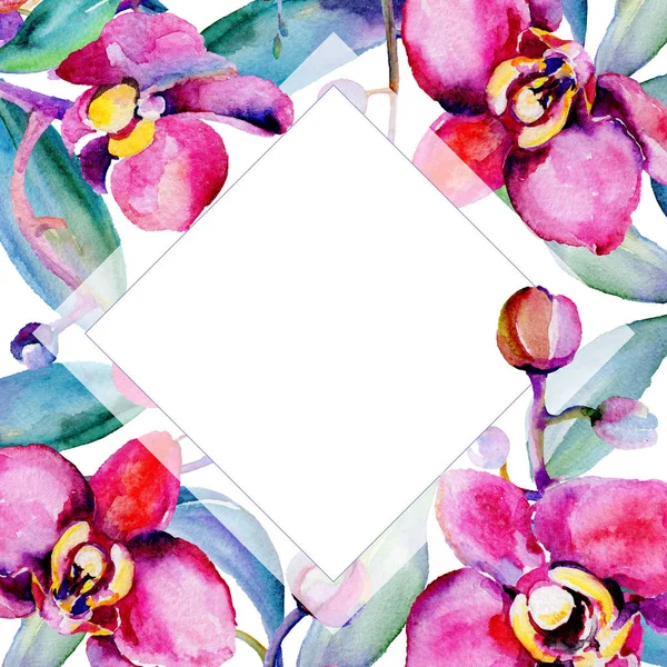 Moldura de flor de orquídea silvestre em um estilo aquarela . — Fotografia de Stock