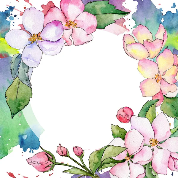 Wildblume von Apfelblütenrahmen im Aquarell-Stil. — Stockfoto
