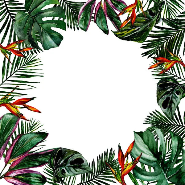 열 대의 하와이 수채화 스타일에서 프레임 나뭇잎. — 스톡 사진