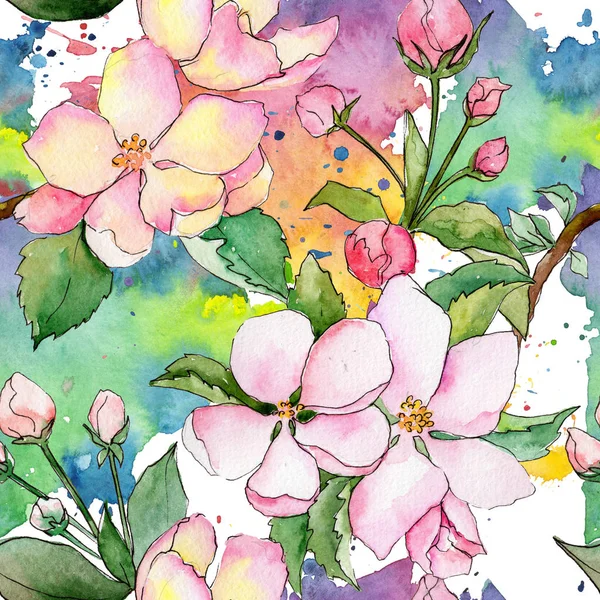 Wildflower of apple flower pattern in a watercolor style.