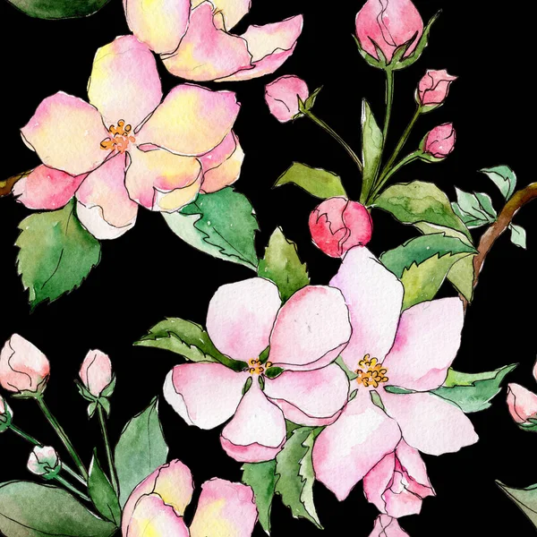 Viltblomst av epleblomst i akvarellstil . – stockfoto
