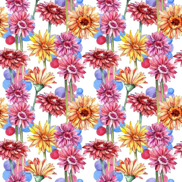 Wildflower gerbera květinový vzor ve stylu akvarelu. — Stock fotografie