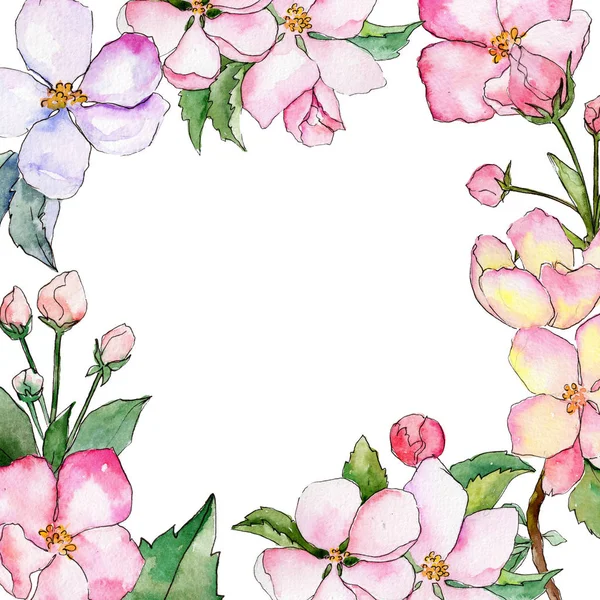 Wildflower of apple flower frame in a watercolor style.