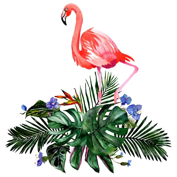 Tropiska Hawaii blad i akvarell stil isolerade. — Stockfoto