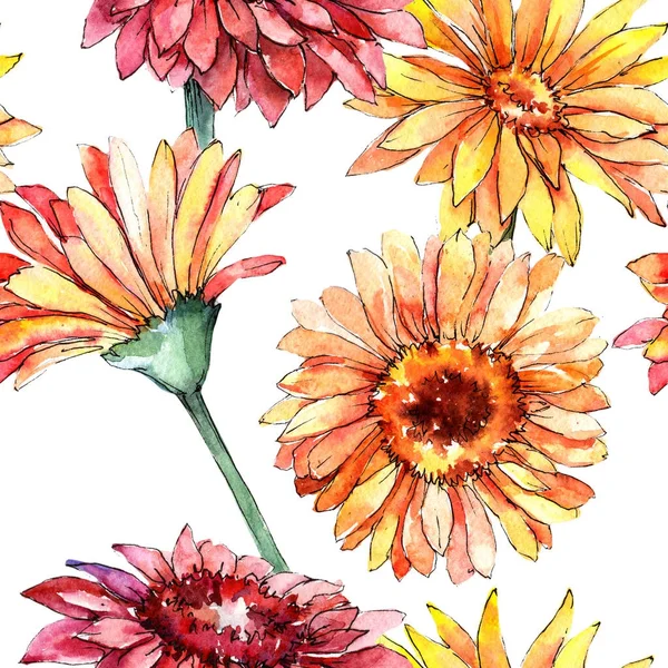 Modello di fiore gerbera Wildflower in stile acquerello . — Foto Stock