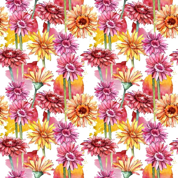 Wildflower gerbera bloemenpatroon in een aquarel stijl. — Stockfoto