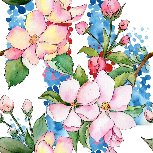 水彩風のリンゴの花パターンのワイルドフラワー. — ストック写真