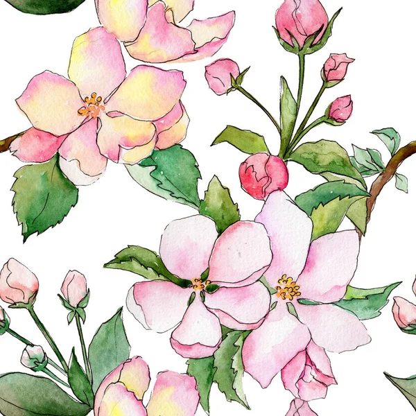 Suluboya tarzında elma çiçek deseninin kır çiçeği.