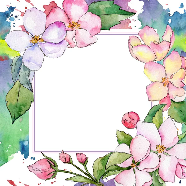 在水彩风格的苹果花框架的野花. — 图库照片