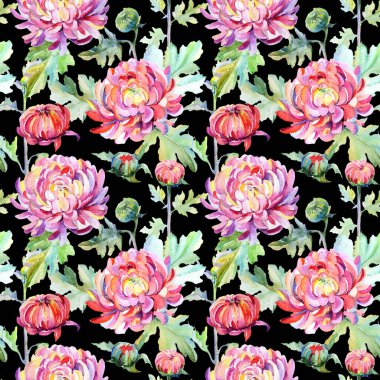 Kır çiçeği krizantem çiçek deseni suluboya tarzında.