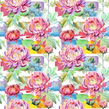 Kır çiçeği krizantem çiçek deseni suluboya tarzında.